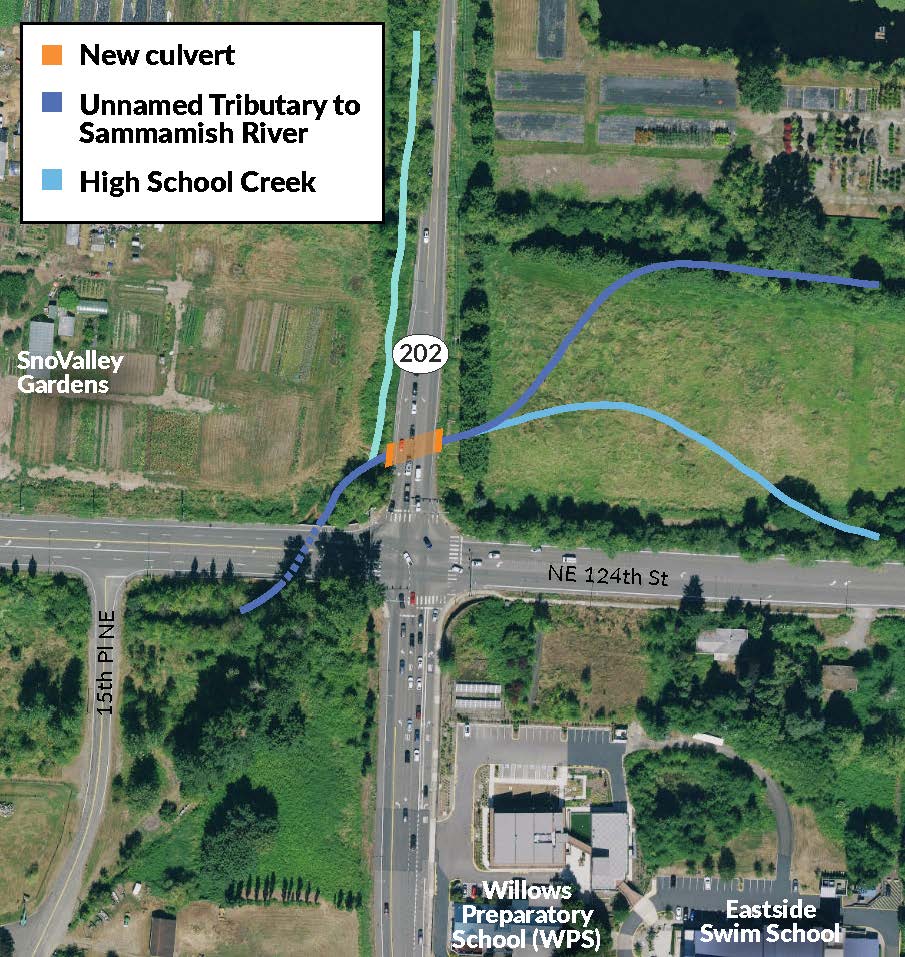 Graphic showing realignment of both creeks through the new culvert under SR 202