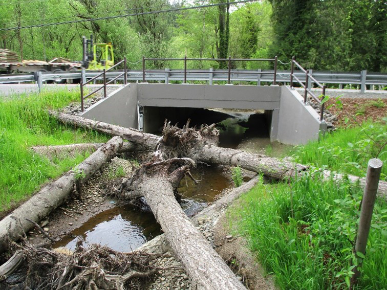 Photo example of completed new culvert