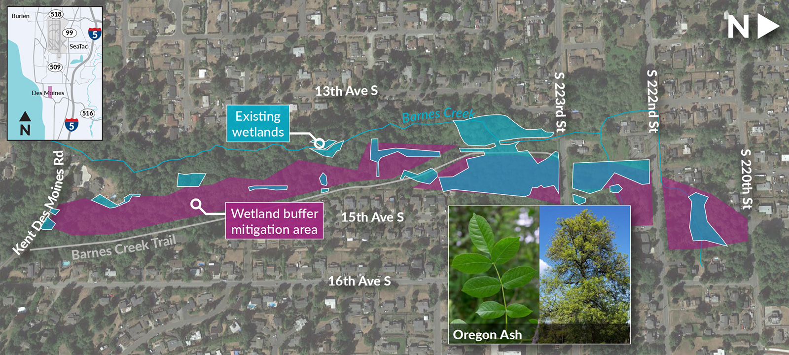 An overhead view of the Barnes Creek restoration site