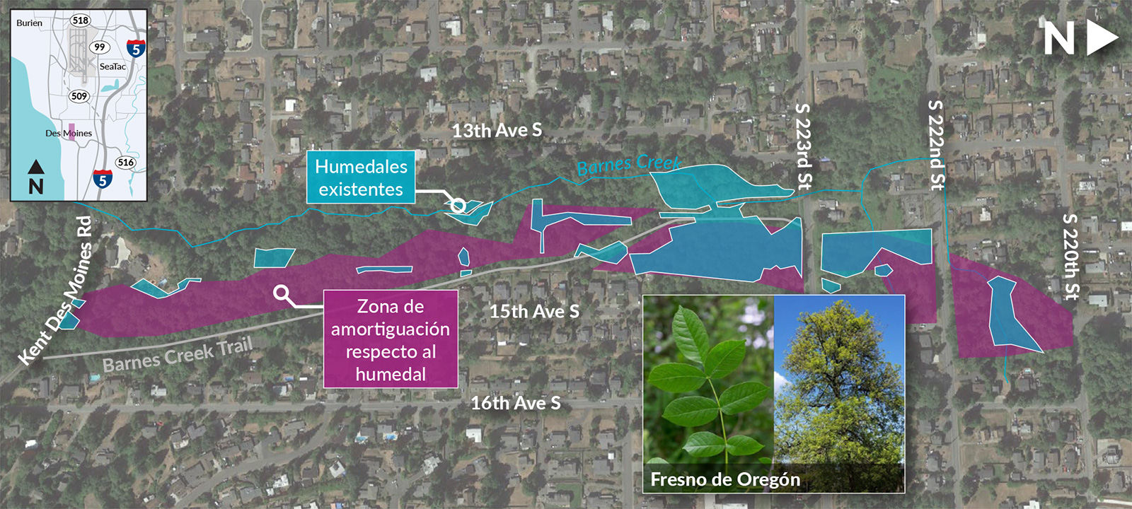 A map of the Barnes Creek Wetland Mitigation Site showing existing wetland areas and wetland buffer mitigation areas, all labels in Spanish.
