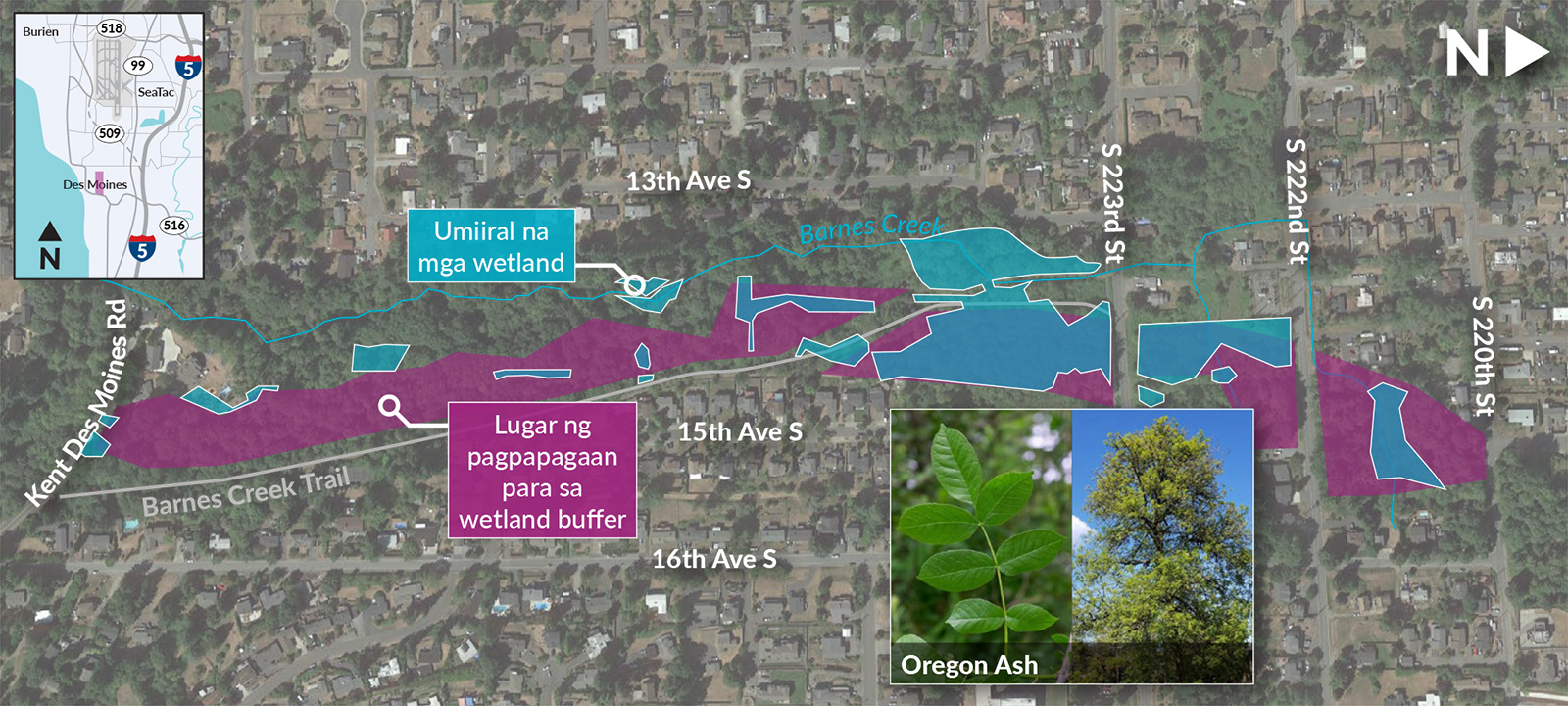 A map of the Barnes Creek Wetland Mitigation Site showing existing wetland areas and wetland buffer mitigation areas, all labels in Tagalog.
