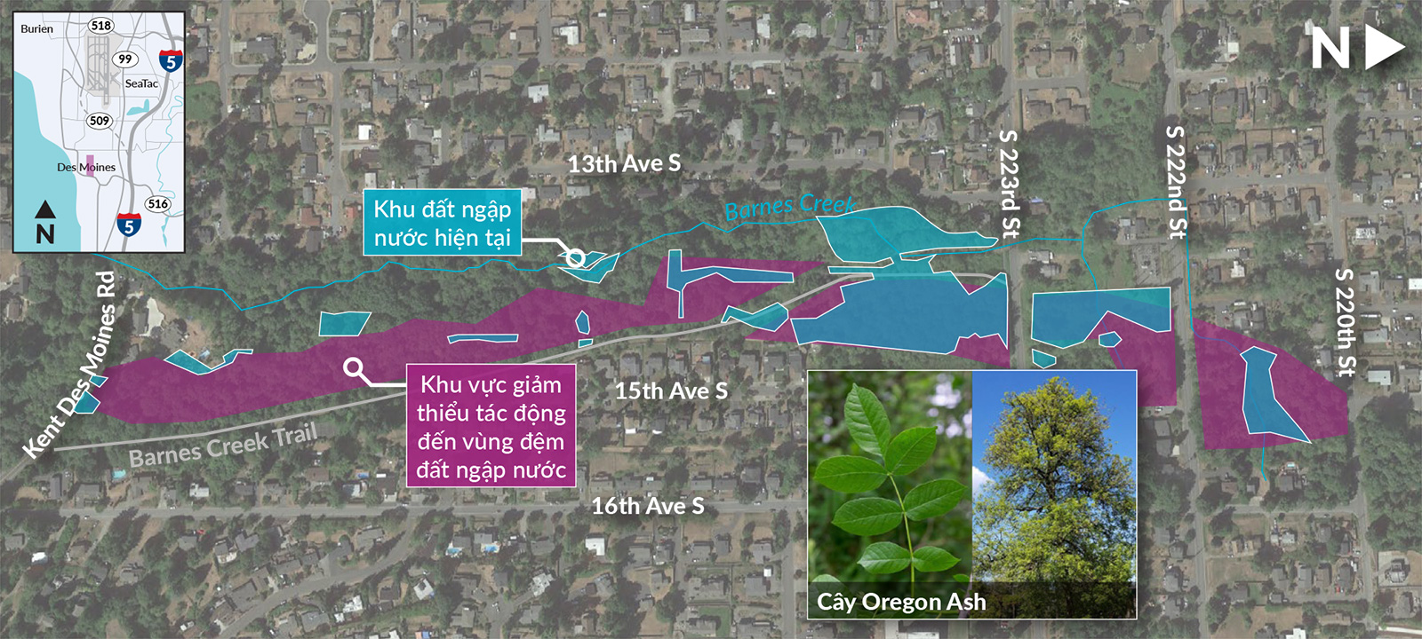 A map of the Barnes Creek Wetland Mitigation Site showing existing wetland areas and wetland buffer mitigation areas, all labels in Vietnamese.
