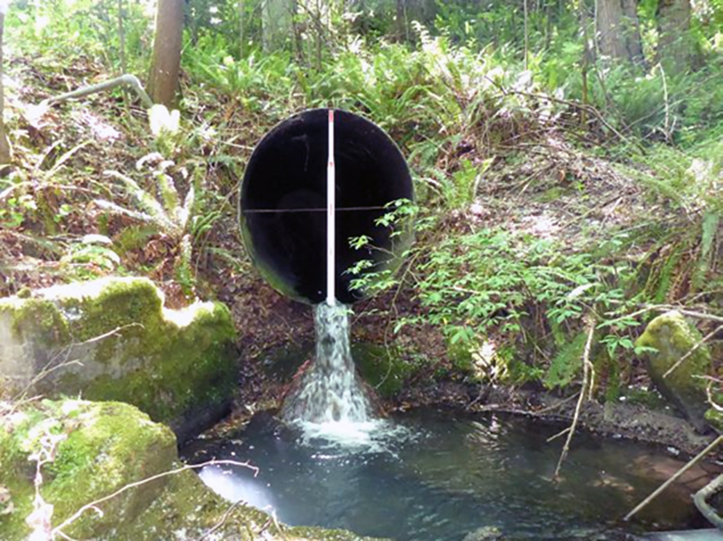 Изображение водопропускной трубы с небольшим водопадом, которая находится слишком высоко над ручьем, препятствуя перемещению рыб.
