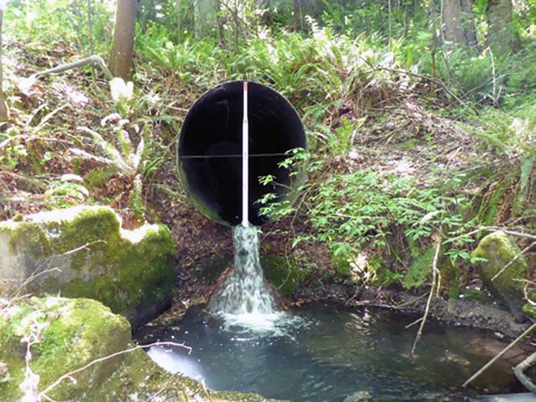 Imagen de una alcantarilla con una pequeña cascada que está demasiado alta por encima del arroyo, bloqueando el paso de los peces. 