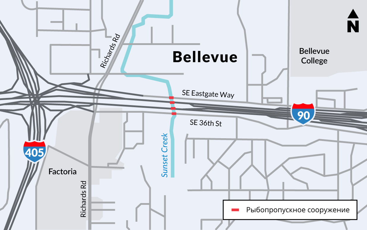 Карта территории проекта к востоку от автомагистрали Ай-405 (I-405) с указанием расположения четырех новых мостов, проходящих под межштатной автомагистралью Ай-90 (I-90), улицей Салфист Истгейт Вэй (Southeast Eastgate Way) и улицей Салфист 36-я (Southeast 36th Street).