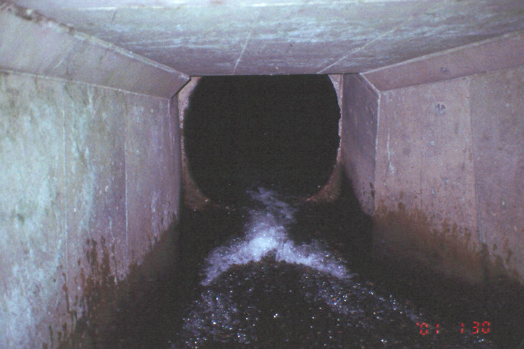Photo showing the interior of the existing culvert that carries Lewis Creek under I-90 near Issaquah