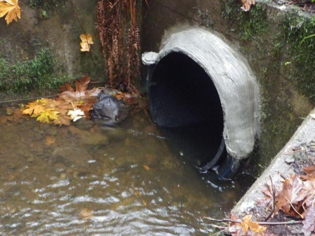 Photo showing the culvert that carries West Village Park Creek under I-90 near Issaquah