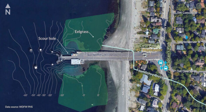 Graphic showing how Fauntleroy ferry terminal is surrounded by important environmental features, including eelgrass and macroalgae, sensitive nearshore habitat, and Fauntleroy Creek.
