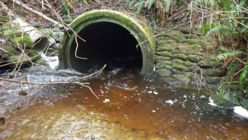 Existing culvert that carries Wain Creek under the highway.