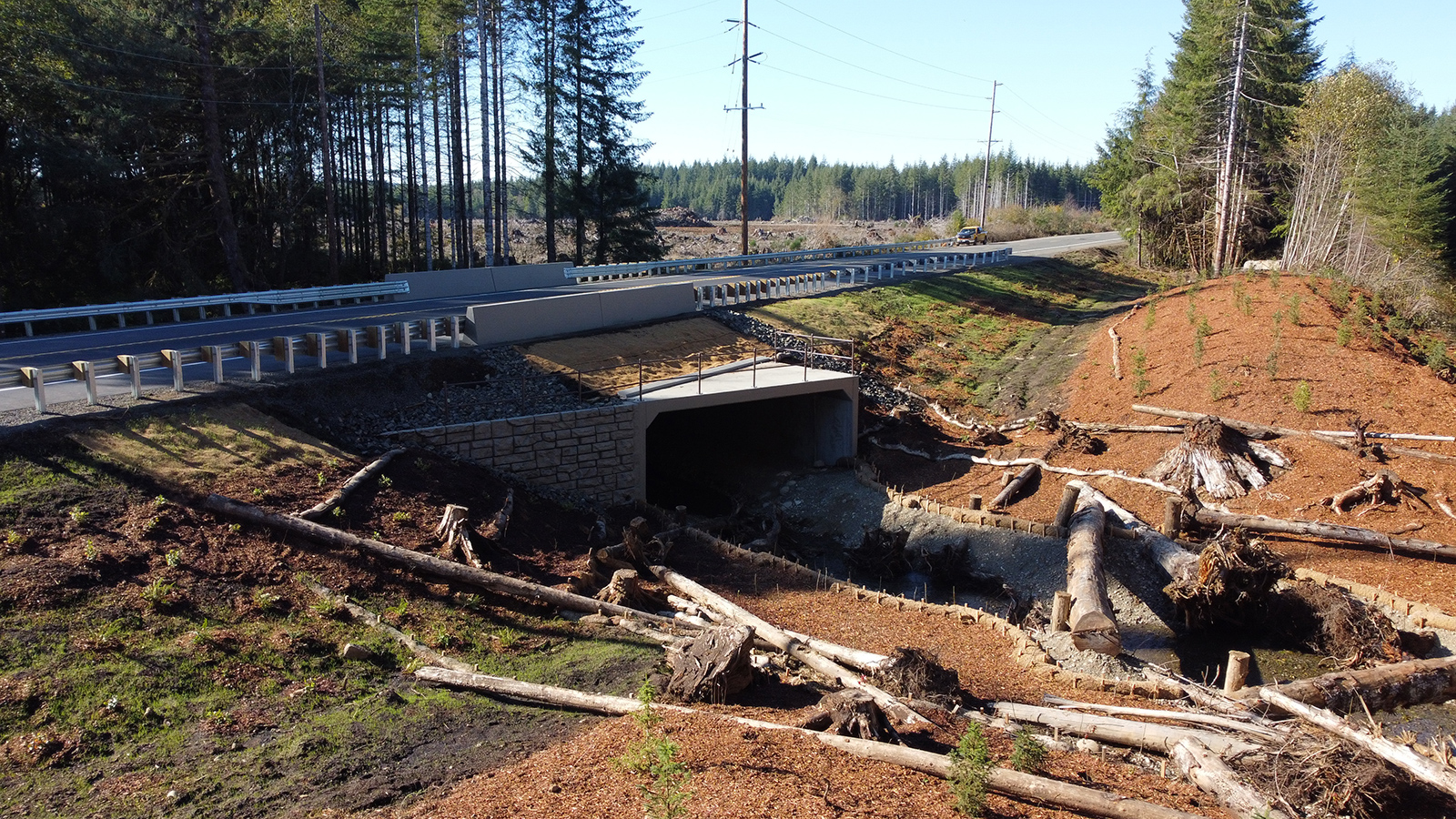 Highway showing completed fish passage work complete with newly planted trees, logs, and new culvert.