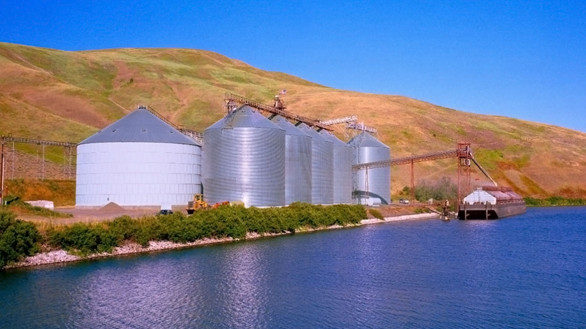 Imagen de una serie de elevadores de grano