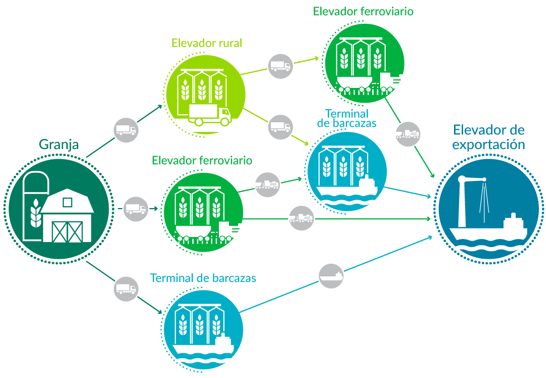 Diagrama de la cadena de suministro de trigo/grano