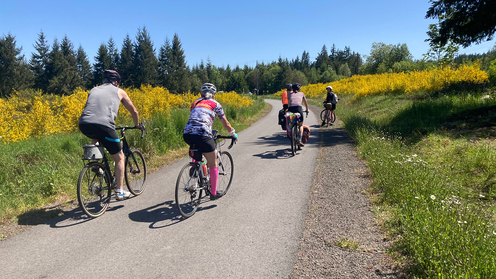 Bicyclists riding on rural trail