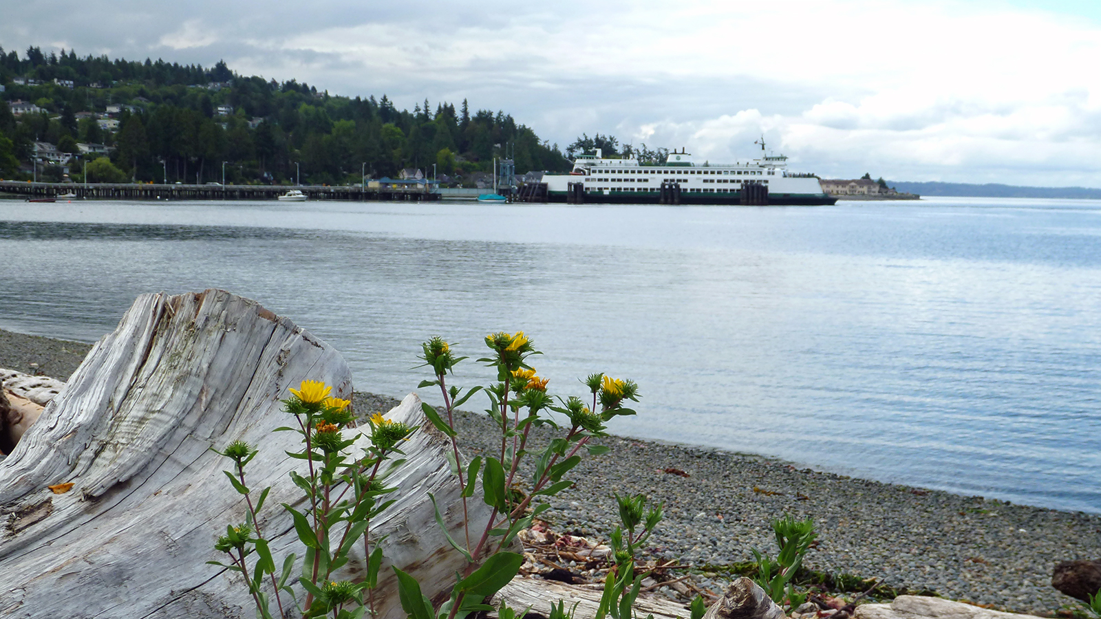 Ferry docked at Fauntleroy ferry terminal