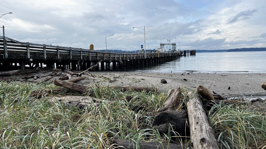 Phot showing the view of the terminal and Puget Sound from Cove Park