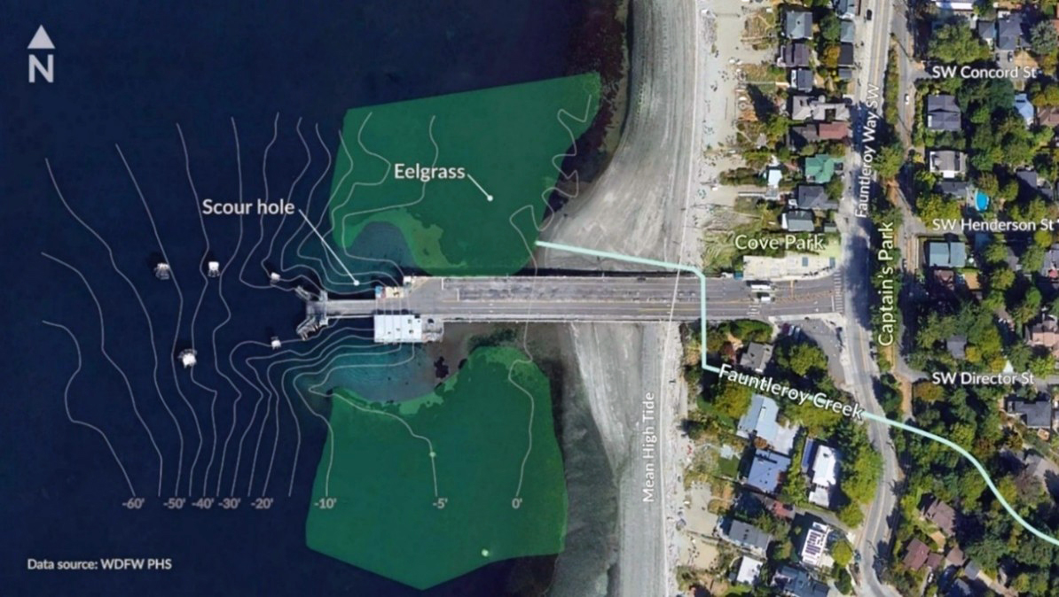 Aerial photo with topographical overlay showing location of Eelgrass near the terminal and the scour hole