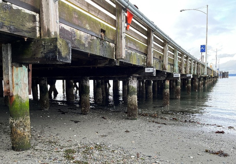 Photo showing the underside of the dock, including timber piles