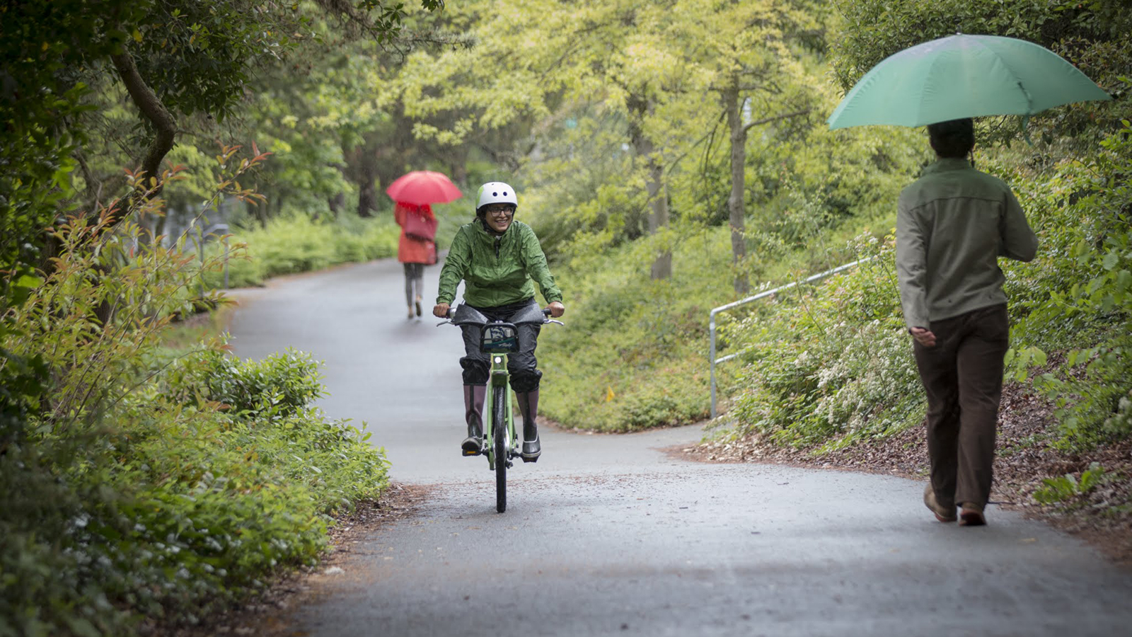 Bicyclist and people walking on a trail