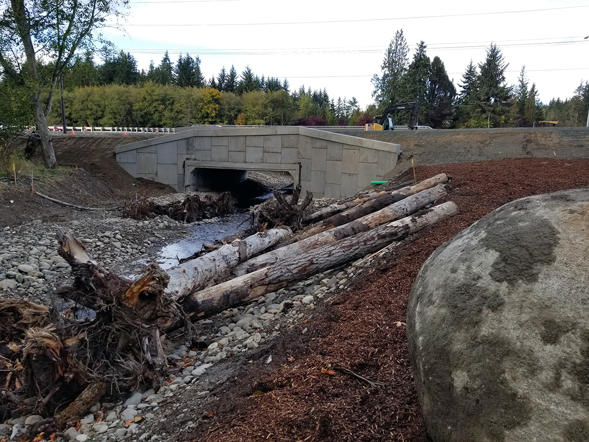 Image of a newly constructed concrete culvert bridge over a stream. Large logs lie in the stream and on the banks, and trees and a road are visible in the background.