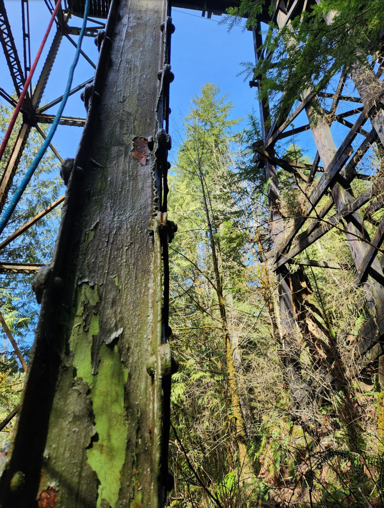 Photo of a steel support column on the SR 165 Carbon River-Fairfax Bridge showing visible deformation from compression, which can lead to bridge failure
