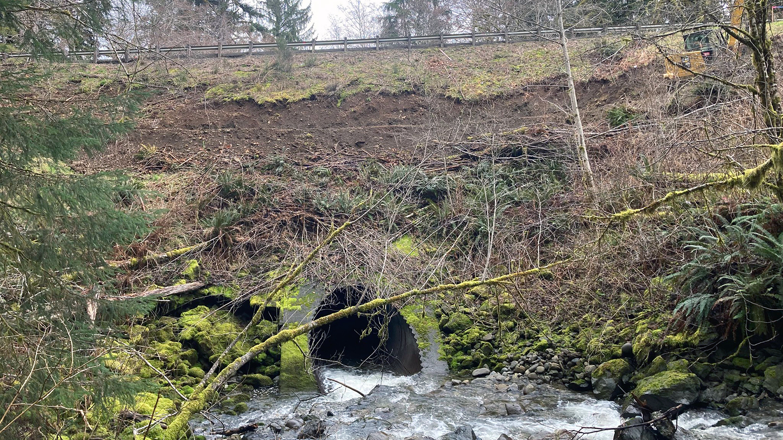 Image of a concrete culvert pipe with a small stream of water flowing out of it and into a shallow pool.